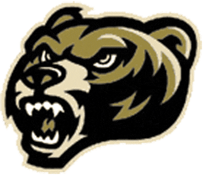 Oakland Golden Grizzlies 2002-2008 Alternate Logo iron on transfers for fabric